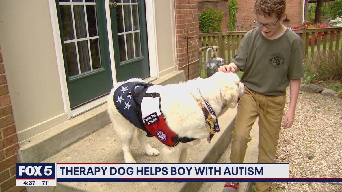 Paws of War: Therapy dog helps boy with autism in northern Virginia